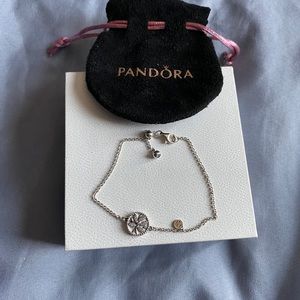Pandora Bracelet
